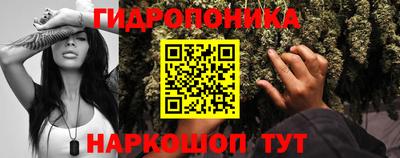 spice Гусь-Хрустальный